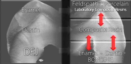 biomime4.jpg