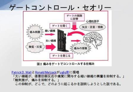 ゲートコントロール・セオリー